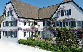 Rhein River Guesthouse - Direkt Am Rhein